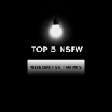 Top 5 NSFW WordPress Themes for 2026